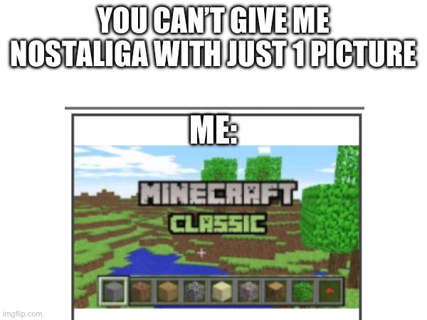 YOU CAN’T GIVE ME NOSTALIGA WITH JUST 1 PICTURE; ME: | image tagged in minecraft classic,nostaliga | made w/ Imgflip meme maker