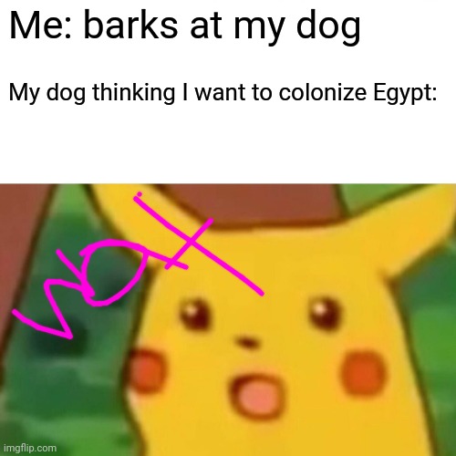 Surprised Pikachu | Me: barks at my dog; My dog thinking I want to colonize Egypt: | image tagged in memes,surprised pikachu | made w/ Imgflip meme maker