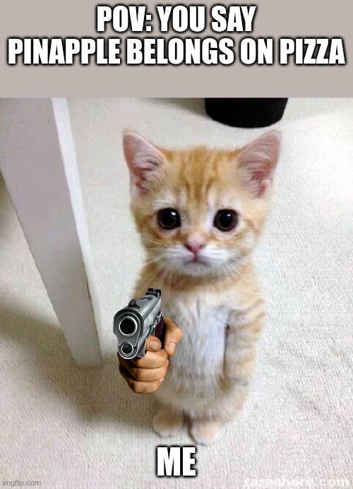 Cute Cat Meme | POV: YOU SAY PINAPPLE BELONGS ON PIZZA; ME | image tagged in memes,cute cat | made w/ Imgflip meme maker