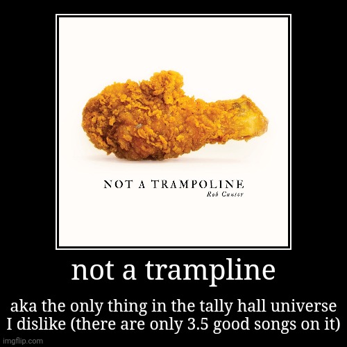 not a trampoline more like not that good | not a trampline | aka the only thing in the tally hall universe I dislike (there are only 3.5 good songs on it) | image tagged in funny,demotivationals,not a trampoline,help_me | made w/ Imgflip demotivational maker