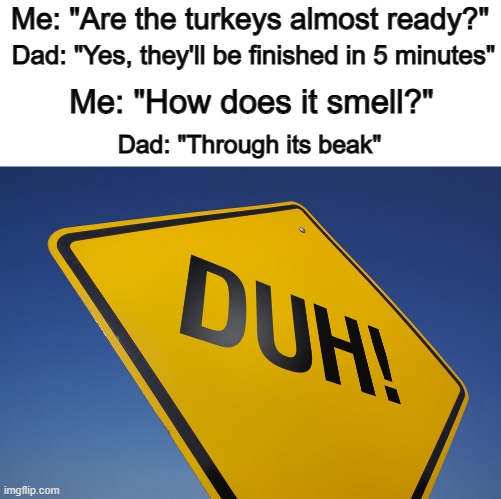Yeah, obviously... not the answer I was looking for XD | Me: "Are the turkeys almost ready?"; Dad: "Yes, they'll be finished in 5 minutes"; Me: "How does it smell?"; Dad: "Through its beak" | image tagged in duh | made w/ Imgflip meme maker