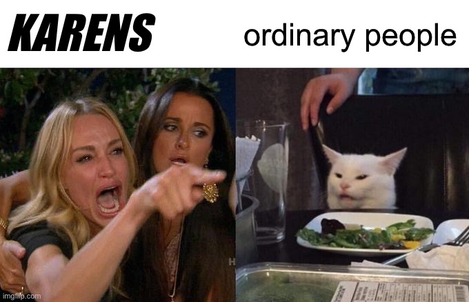Woman Yelling At Cat | KARENS; ordinary people | image tagged in memes,woman yelling at cat,funny | made w/ Imgflip meme maker