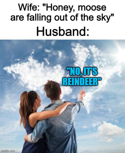 The sunny weather doesn't really fit with the joke... Sorry about that :) | Wife: "Honey, moose are falling out of the sky"; Husband:; "NO, IT'S REINDEER" | made w/ Imgflip meme maker