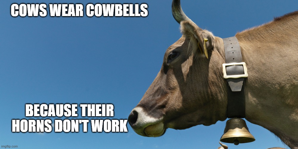 COWS WEAR COWBELLS; BECAUSE THEIR HORNS DON'T WORK | made w/ Imgflip meme maker
