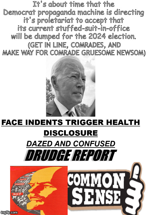 Get in line, Democrats, ur "reality" is in the process of shifting to ur new "reality". | It's about time that the Democrat propaganda machine is directing it's proletariat to accept that its current stuffed-suit-in-office will be dumped for the 2024 election. (GET IN LINE, COMRADES, AND MAKE WAY FOR COMRADE GRUESOME NEWSOM) | image tagged in memes,politics | made w/ Imgflip meme maker