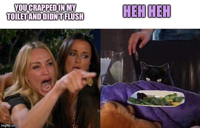 Woman Yelling at tacLive food | HEH HEH; YOU CRAPPED IN MY TOILET AND DIDN’T FLUSH | image tagged in woman yelling at taclive food | made w/ Imgflip meme maker
