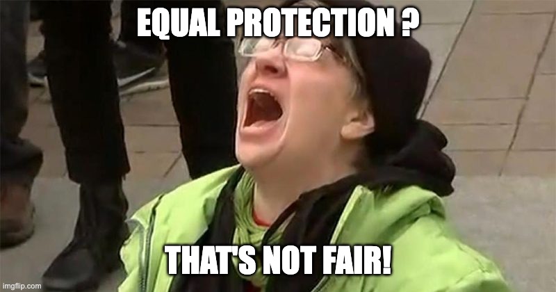 Affirmative Action | EQUAL PROTECTION ? THAT'S NOT FAIR! | image tagged in crying liberal | made w/ Imgflip meme maker