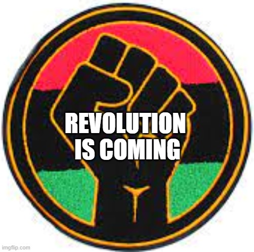 Revolution | REVOLUTION 
IS COMING | image tagged in affirmative action,revolution,black people,african americans,equality | made w/ Imgflip meme maker