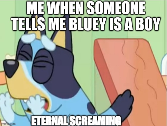 Bluey Eternal Screaming | ME WHEN SOMEONE TELLS ME BLUEY IS A BOY | image tagged in bluey eternal screaming,bluey,stupid people | made w/ Imgflip meme maker