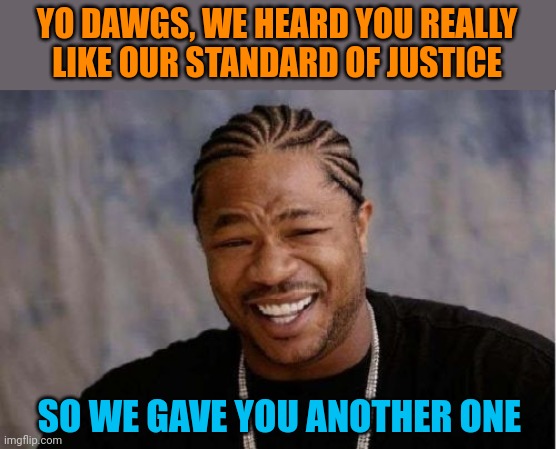 Two! (tap) Two! (tap) Two Standards in One! | YO DAWGS, WE HEARD YOU REALLY LIKE OUR STANDARD OF JUSTICE; SO WE GAVE YOU ANOTHER ONE | image tagged in memes,yo dawg heard you,justice,injustice,double standards | made w/ Imgflip meme maker