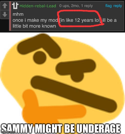 He probably doesn't know how to code (since he's a child) and made up an excuse to confuse us | SAMMY MIGHT BE UNDERAGE | image tagged in thonking | made w/ Imgflip meme maker