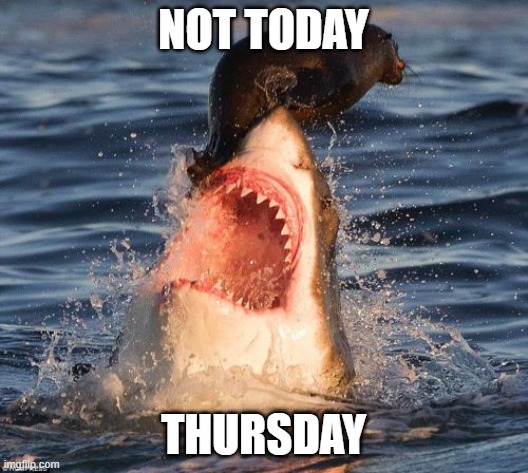 Not Today Thursday | NOT TODAY; THURSDAY | image tagged in memes,travelonshark,thursday,seal,shark | made w/ Imgflip meme maker