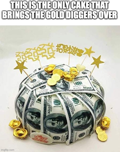So very nice | THIS IS THE ONLY CAKE THAT BRINGS THE GOLD DIGGERS OVER | image tagged in cake,money cake | made w/ Imgflip meme maker