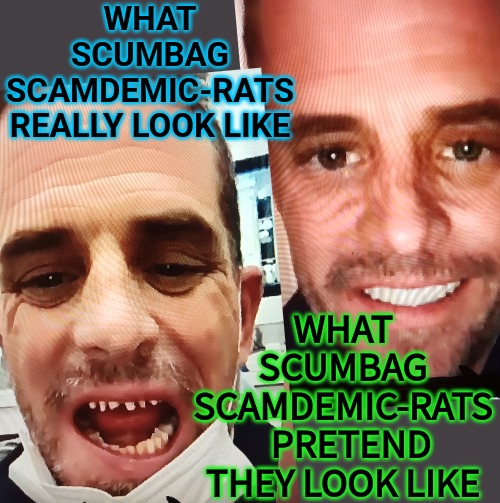 the tooth about the scumbag biden crime family | WHAT SCUMBAG SCAMDEMIC-RATS REALLY LOOK LIKE; WHAT
SCUMBAG
SCAMDEMIC-RATS
  PRETEND

THEY LOOK LIKE | image tagged in numbers never lie trump won 2020,trump won 2020,unelected biden the embarrassment,illegal fake elections | made w/ Imgflip meme maker