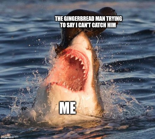 Oh, I can catch you... | THE GINGERBREAD MAN TRYING TO SAY I CAN'T CATCH HIM; ME | image tagged in memes,travelonshark | made w/ Imgflip meme maker