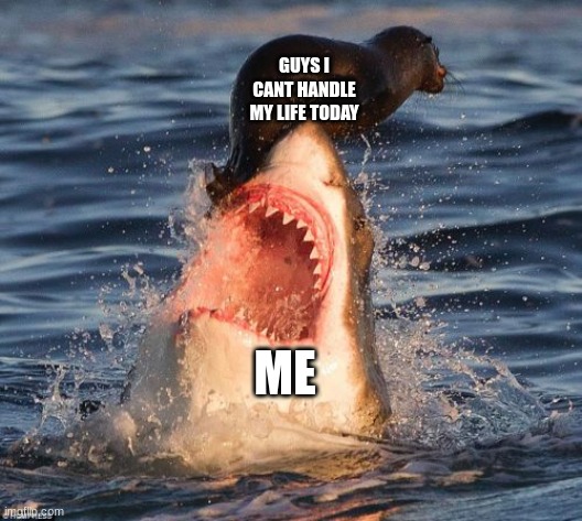 Travelonshark | GUYS I CANT HANDLE MY LIFE TODAY; ME | image tagged in memes,travelonshark | made w/ Imgflip meme maker