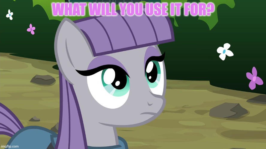Maud Pie - MLP | WHAT WILL YOU USE IT FOR? | image tagged in maud pie - mlp | made w/ Imgflip meme maker