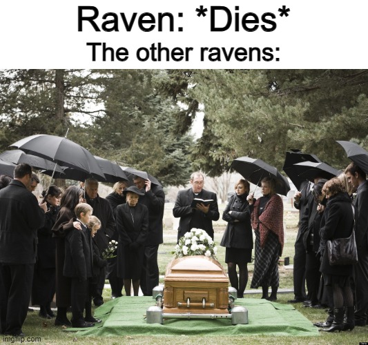 They're one of the few birds that mourn for the dead... | Raven: *Dies*; The other ravens: | image tagged in funeral | made w/ Imgflip meme maker