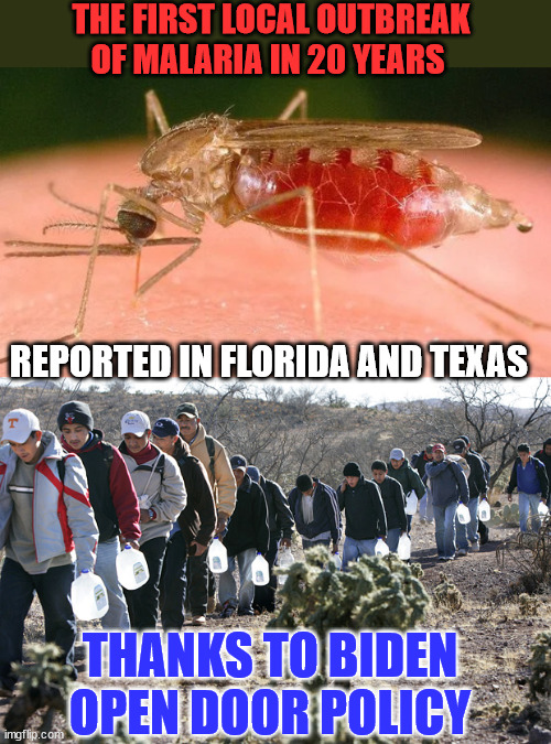 Importing disease...  all part of the increase democrat voter scheme... | THE FIRST LOCAL OUTBREAK OF MALARIA IN 20 YEARS; REPORTED IN FLORIDA AND TEXAS; THANKS TO BIDEN OPEN DOOR POLICY | image tagged in illegal immigrants crossing border,crooked,joe biden,party of haters | made w/ Imgflip meme maker