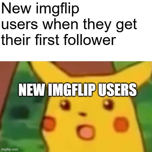 Probably their alt account | New imgflip users when they get their first follower; NEW IMGFLIP USERS | image tagged in memes,surprised pikachu | made w/ Imgflip meme maker