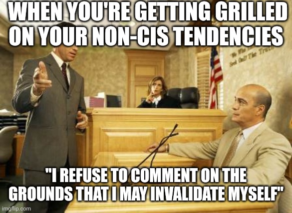 Courtroom classic | WHEN YOU'RE GETTING GRILLED ON YOUR NON-CIS TENDENCIES; "I REFUSE TO COMMENT ON THE GROUNDS THAT I MAY INVALIDATE MYSELF" | image tagged in courtroom classic | made w/ Imgflip meme maker
