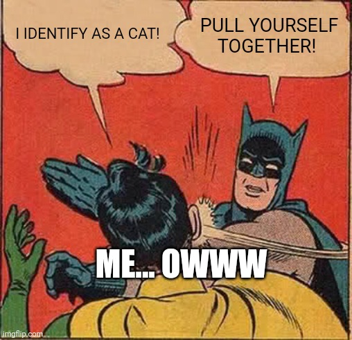 Batman Slapping Robin | I IDENTIFY AS A CAT! PULL YOURSELF TOGETHER! ME... OWWW | image tagged in memes,batman slapping robin | made w/ Imgflip meme maker