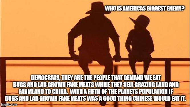 Cowboy wisdom, crickets for China | WHO IS AMERICAS BIGGEST ENEMY? DEMOCRATS, THEY ARE THE PEOPLE THAT DEMAND WE EAT BUGS AND LAB GROWN FAKE MEATS WHILE THEY SELL GRAZING LAND AND FARMLAND TO CHINA.  WITH A FIFTH OF THE PLANETS POPULATION IF BUGS AND LAB GROWN FAKE MEATS WAS A GOOD THING CHINESE WOULD EAT IT. | image tagged in cowboy father and son,cowboy wisdom,crickets for china,lab grown meat,let dems eat bugs,american grown | made w/ Imgflip meme maker