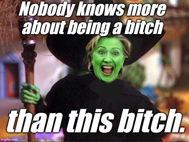 Killary | Nobody knows more about being a bitch than this bitch. | image tagged in killary | made w/ Imgflip meme maker