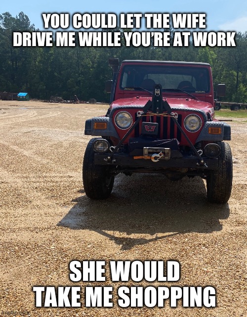 Dollythejeep | YOU COULD LET THE WIFE DRIVE ME WHILE YOU’RE AT WORK; SHE WOULD TAKE ME SHOPPING | image tagged in dollythejeep,ducks,shopping | made w/ Imgflip meme maker