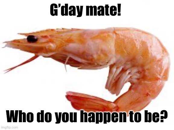 Shrimply | G’day mate! Who do you happen to be? | image tagged in shrimply | made w/ Imgflip meme maker