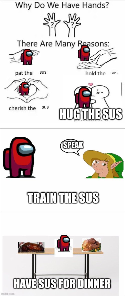 how to adopt a sus | sus; sus; sus; HUG THE SUS; SPEAK; TRAIN THE SUS; HAVE SUS FOR DINNER | image tagged in why do we have hands all blank | made w/ Imgflip meme maker