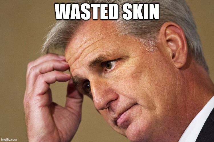 kevin mccarthy | WASTED SKIN | image tagged in kevin mccarthy america's most incompetent speaker-in-waiting,kevin mccarthy,clown,maga,maga republican | made w/ Imgflip meme maker