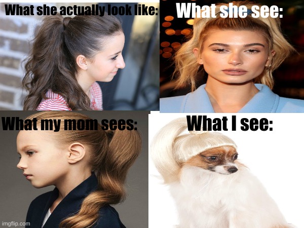my sister in a ponytail | What she see:; What she actually look like:; What my mom sees:; What I see: | image tagged in memes,kinda true | made w/ Imgflip meme maker
