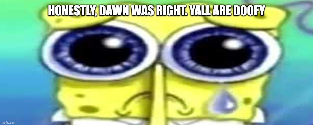 Sad Spong | HONESTLY, DAWN WAS RIGHT. YALL ARE DOOFY | image tagged in sad spong | made w/ Imgflip meme maker
