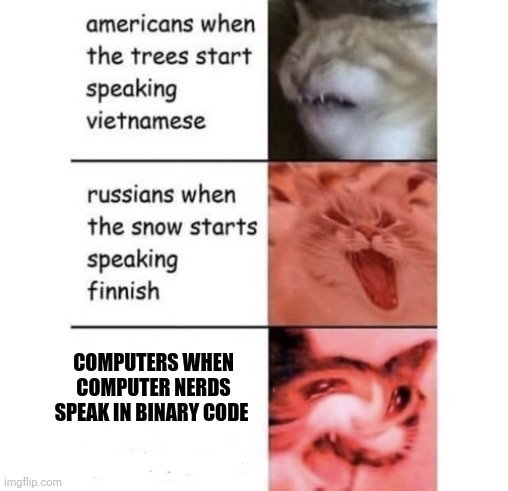 Computers don't like when computer nerds speak in binary code | COMPUTERS WHEN COMPUTER NERDS SPEAK IN BINARY CODE | image tagged in snow speaking finnish | made w/ Imgflip meme maker