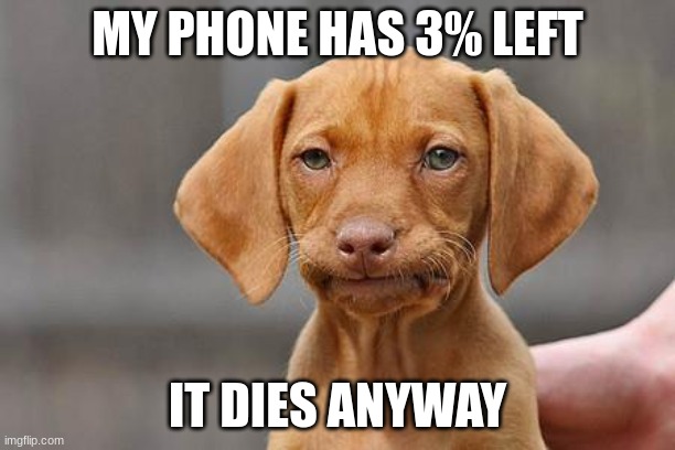phone | MY PHONE HAS 3% LEFT; IT DIES ANYWAY | image tagged in dissapointed puppy,relatable,memes,funny | made w/ Imgflip meme maker
