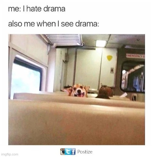 Im Bored | image tagged in dogs | made w/ Imgflip meme maker