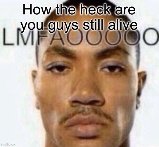 How the heck are you guys still alive | image tagged in lmfaooooo | made w/ Imgflip meme maker