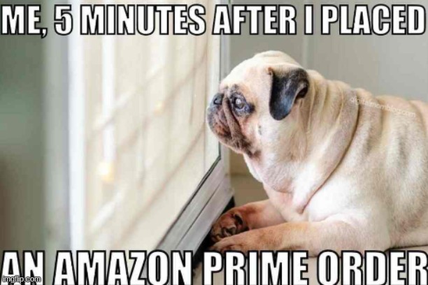 I WANT MY PACKAGE | image tagged in memes,funny memes,funny,relatable | made w/ Imgflip meme maker