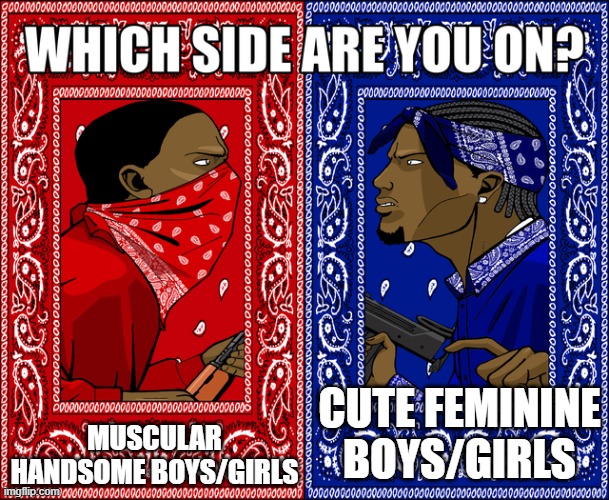 WHICH SIDE ARE YOU ON? | MUSCULAR HANDSOME BOYS/GIRLS; CUTE FEMININE BOYS/GIRLS | image tagged in which side are you on | made w/ Imgflip meme maker