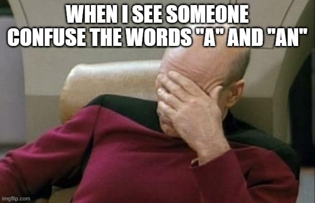 It's not that hard to use them correctly | WHEN I SEE SOMEONE CONFUSE THE WORDS "A" AND "AN" | image tagged in memes,captain picard facepalm,grammar,spelling | made w/ Imgflip meme maker