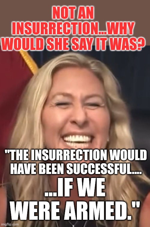 Forst it was antifa....then it was the FBI, then it was.... | NOT AN INSURRECTION...WHY WOULD SHE SAY IT WAS? "THE INSURRECTION WOULD HAVE BEEN SUCCESSFUL.... ...IF WE WERE ARMED." | image tagged in marjorie taylor greene | made w/ Imgflip meme maker