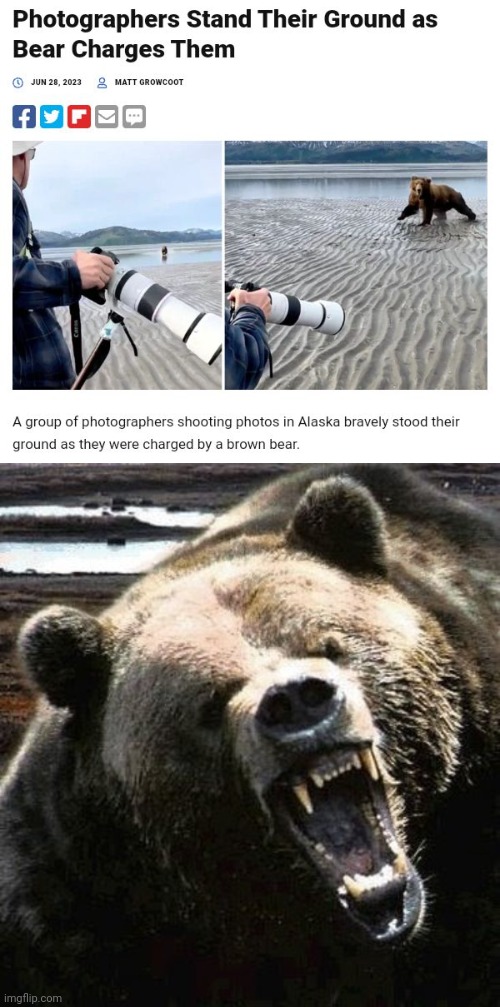 Bear charging them | image tagged in angry bear,bears,bear,photographer,photographers,memes | made w/ Imgflip meme maker