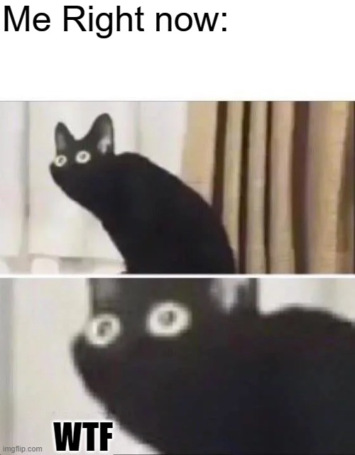Oh No Black Cat | Me Right now: WTF | image tagged in oh no black cat | made w/ Imgflip meme maker