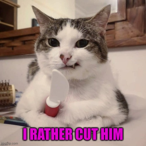 Angry cat | I RATHER CUT HIM | image tagged in angry cat | made w/ Imgflip meme maker