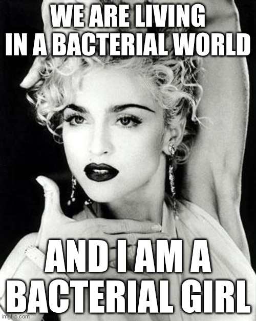 madonna strike a pose | WE ARE LIVING IN A BACTERIAL WORLD; AND I AM A BACTERIAL GIRL | image tagged in madonna strike a pose | made w/ Imgflip meme maker
