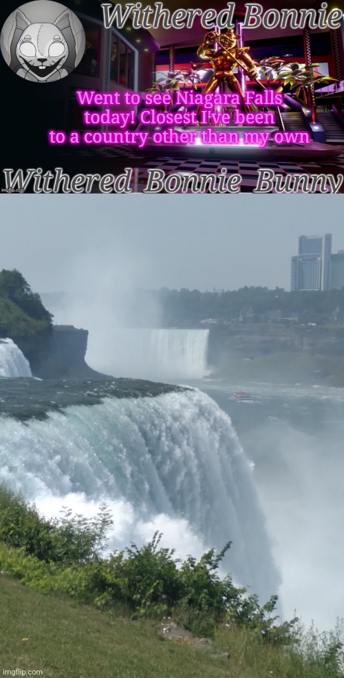 Lots of w a t e r | Went to see Niagara Falls today! Closest I've been to a country other than my own | image tagged in withered_bonnie_bunny's security breach temp | made w/ Imgflip meme maker
