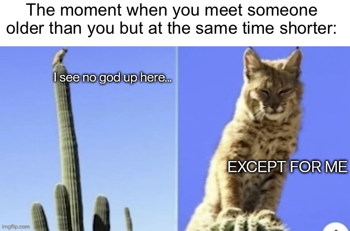 Literally | The moment when you meet someone older than you but at the same time shorter: | image tagged in i see no god up here except for me but bobcat,memes,funny,relatable,tall | made w/ Imgflip meme maker