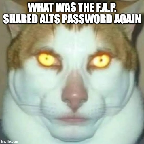 Sigma Cat | WHAT WAS THE F.A.P. SHARED ALTS PASSWORD AGAIN | image tagged in sigma cat | made w/ Imgflip meme maker