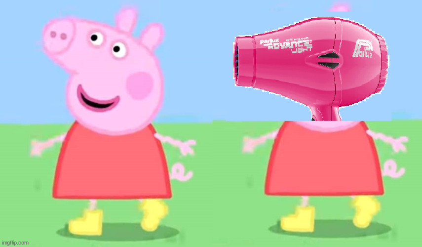Peppa Pig and her twin sister | image tagged in peppa pig | made w/ Imgflip meme maker